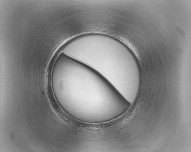 X0000116870580200912221004