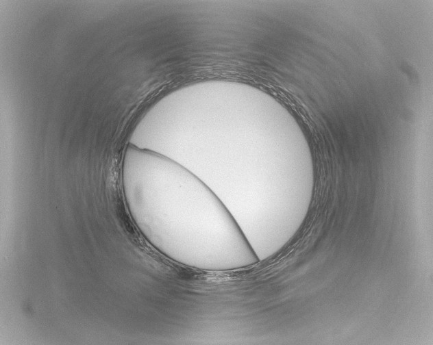 X0000116870612200912221003