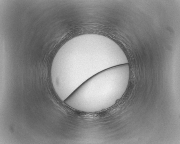 X0000116870615200912221003