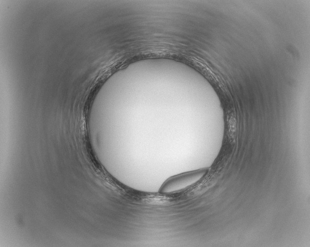 X0000116870617200912221003