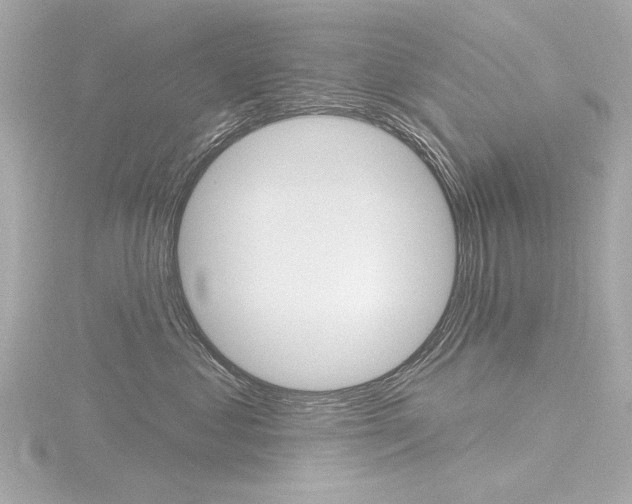 X0000116870621200912221003