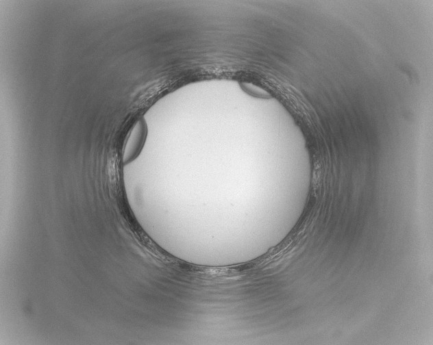 X0000116870623200912221003