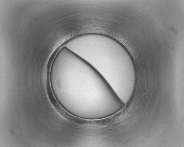 X0000116870630200912221002