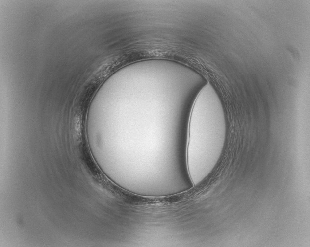 X0000116870646200912221003
