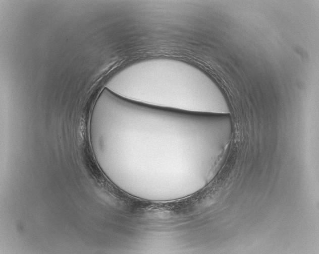 X0000116870648200912221003