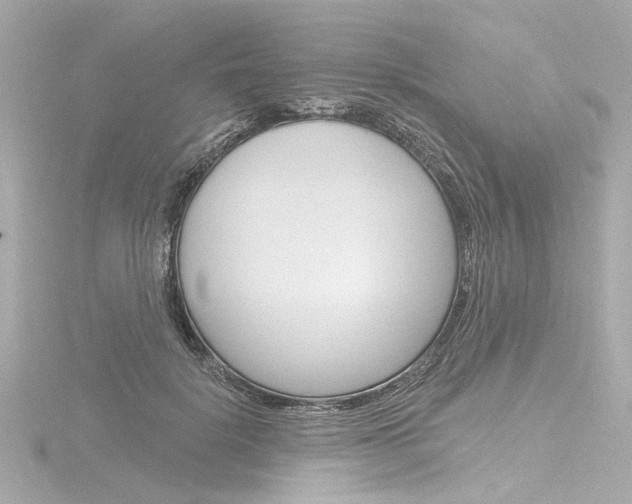 X0000116870652200912221003