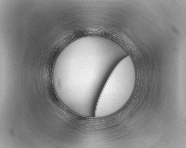 X0000116870653200912221003
