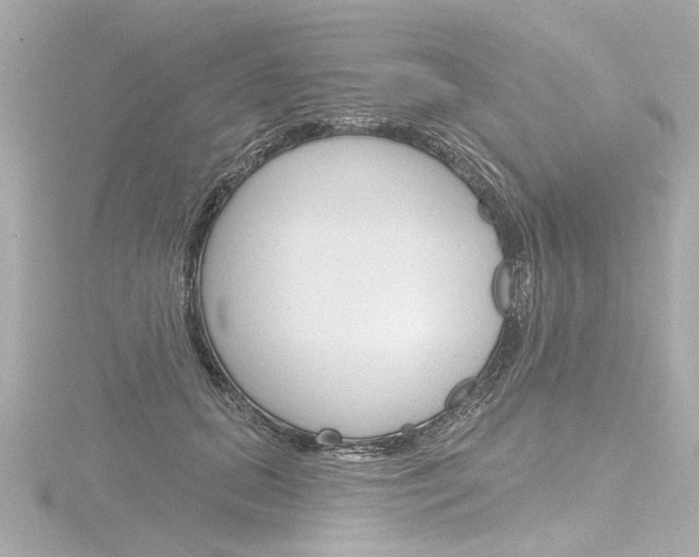 X0000116870655200912221003