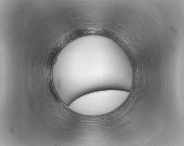 X0000116870657200912221003
