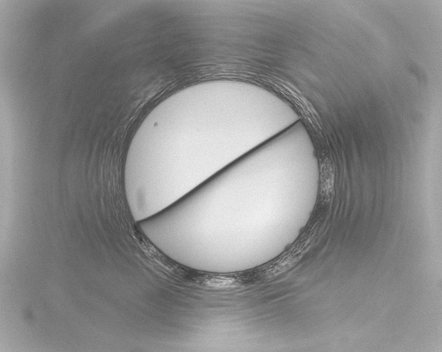 X0000116870669200912221003