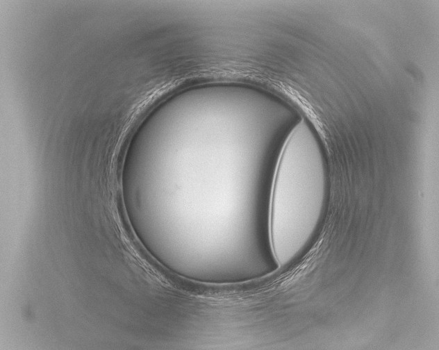 X0000116870673200912221002