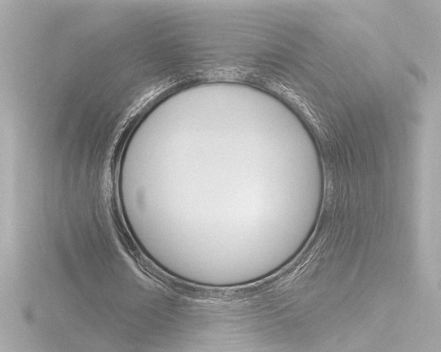 X0000116870674200912221002