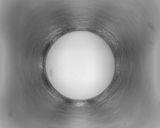 X0000116870710200912221002