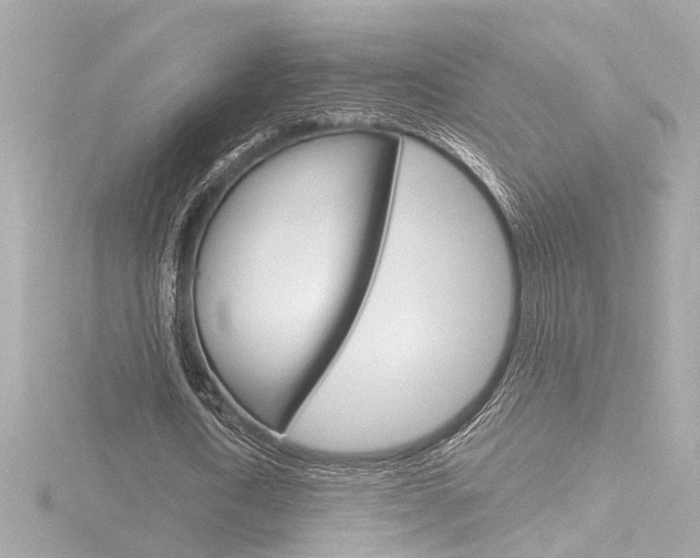 X0000116870722200912221001