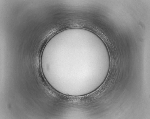 X0000116870729200912221001