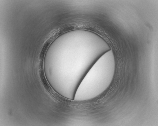 X0000116870738200912221001
