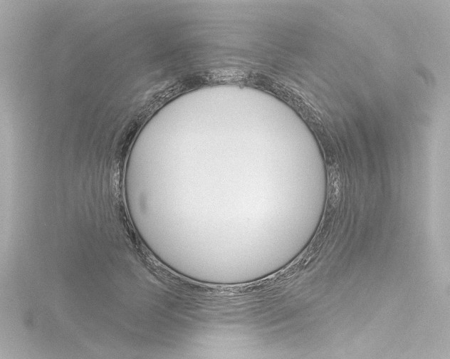 X0000116870745200912221002