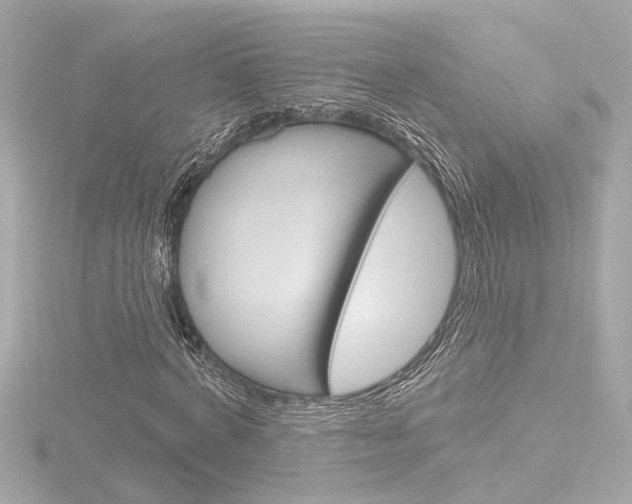 X0000116870772200912221001