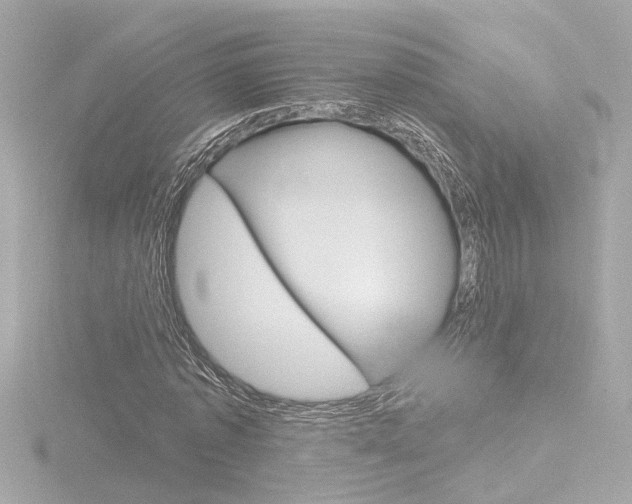 X0000116870773200912221001
