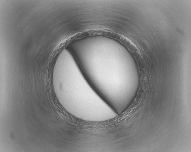X0000116870775200912221001
