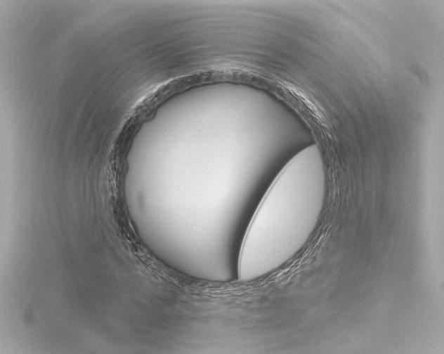 X0000116870776200912221001