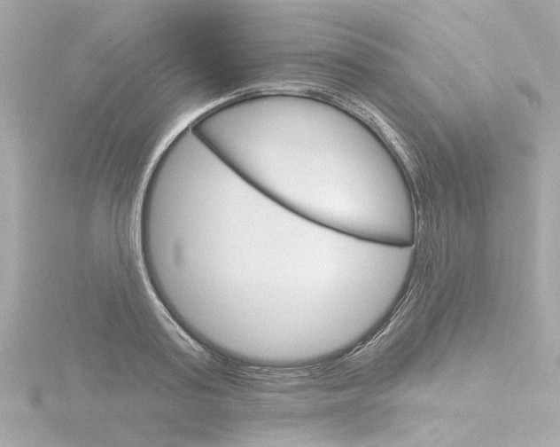 X0000116870795200912221001