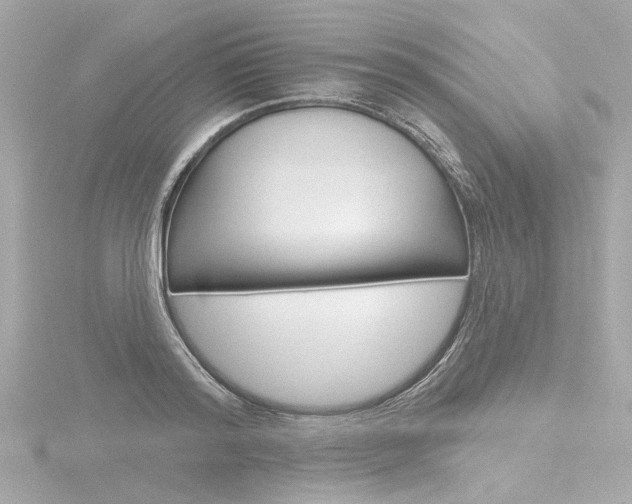 X0000116870796200912221001