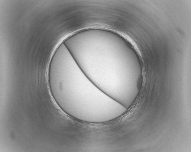 X0000116870815200912221000