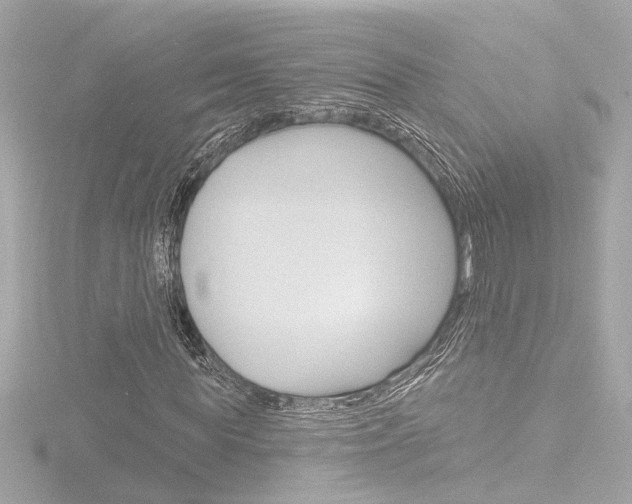 X0000116870819200912221000