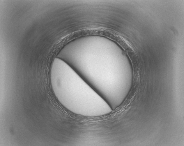X0000116870821200912221000