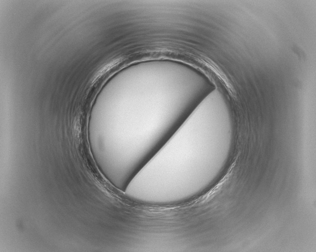 X0000116870826200912221000