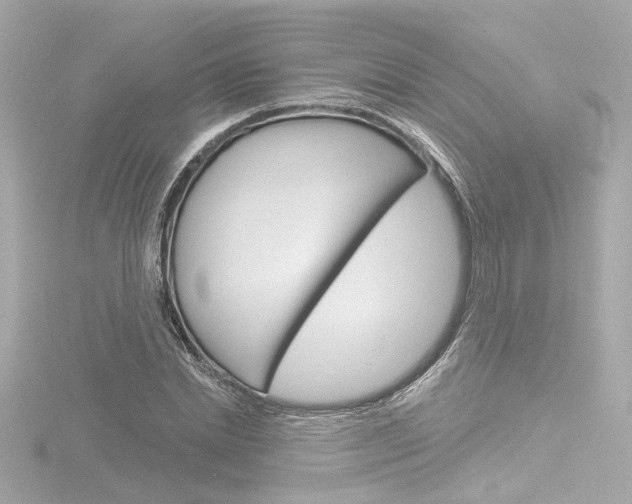 X0000116870830200912221000