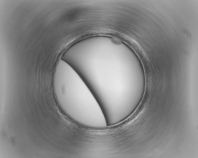 X0000116870833200912221000
