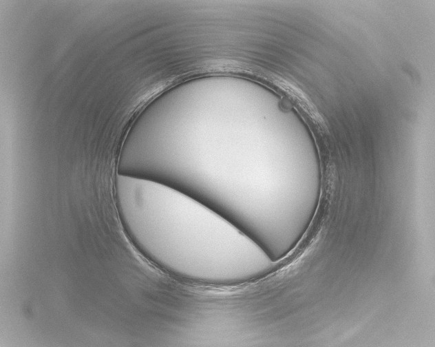 X0000116870841200912221000