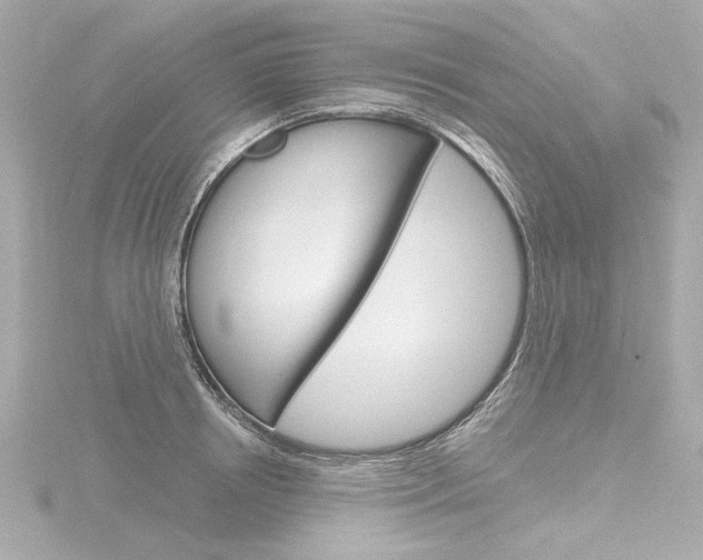 X0000116870850200912221000