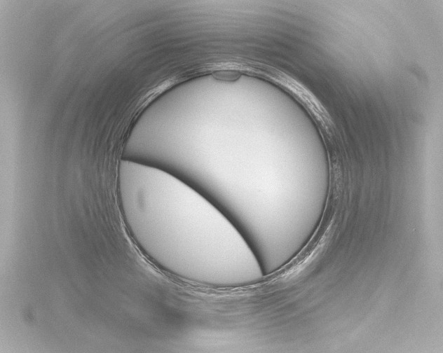 X0000116870857200912221000