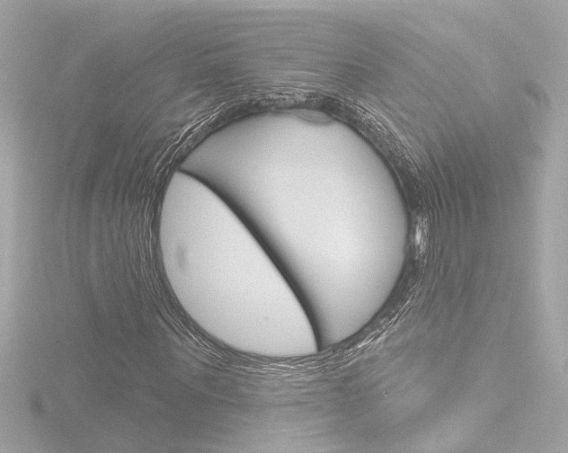 X0000116870867200912221000