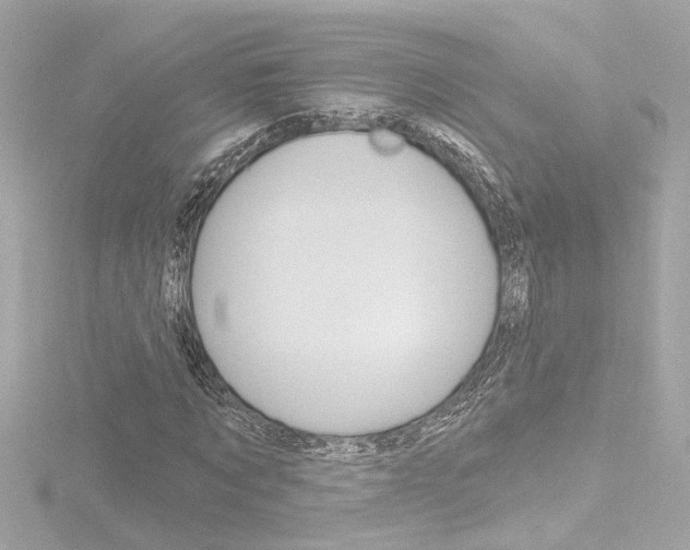 X0000116870869200912221000