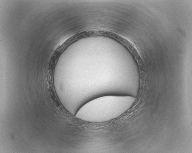X0000116870871200912221000