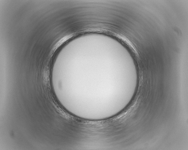X0000116870874200912221000