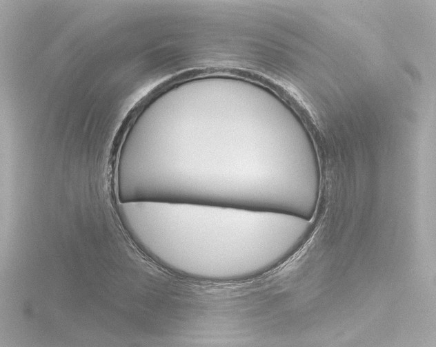 X0000116870879200912221000