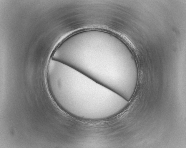 X0000116870895200912220959