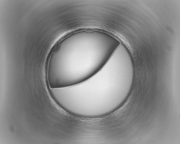 X0000116870942200912220959