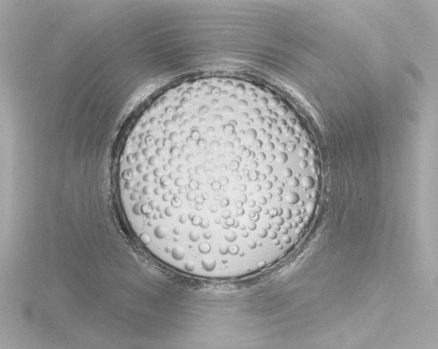 X0000116870978200912220958