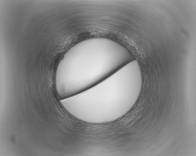X0000116871012200912220957