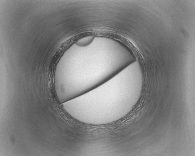 X0000116871016200912220957