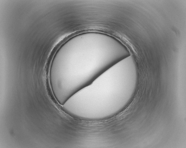 X0000116871024200912220958