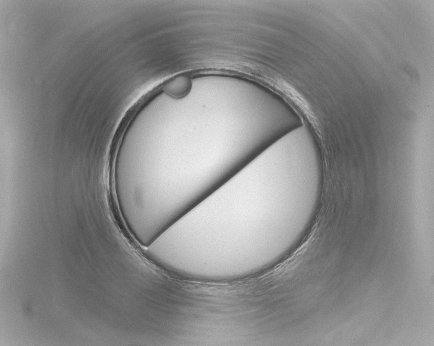 X0000116871028200912220958