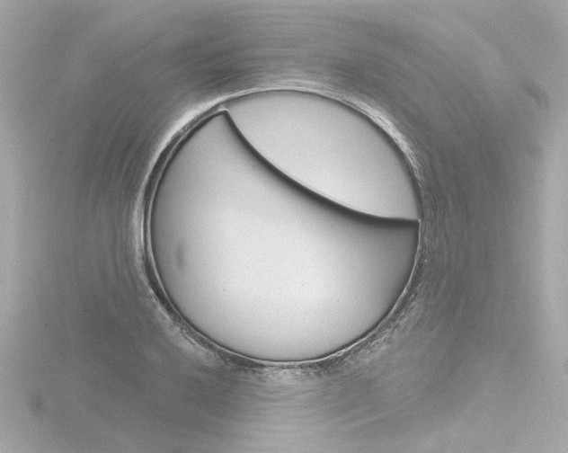 X0000116871032200912220958