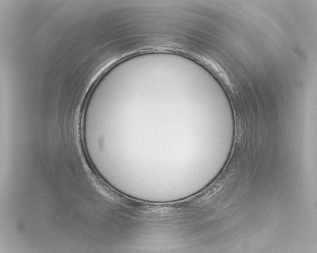 X0000116871039200912220958